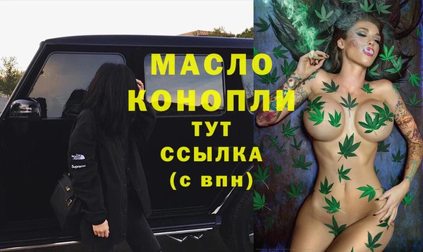 ешки Дмитриев