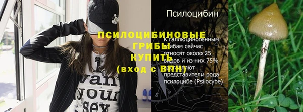 амф Дмитровск