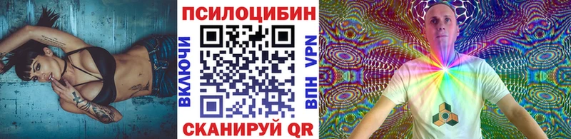 Галлюциногенные грибы Psilocybine cubensis Торопец